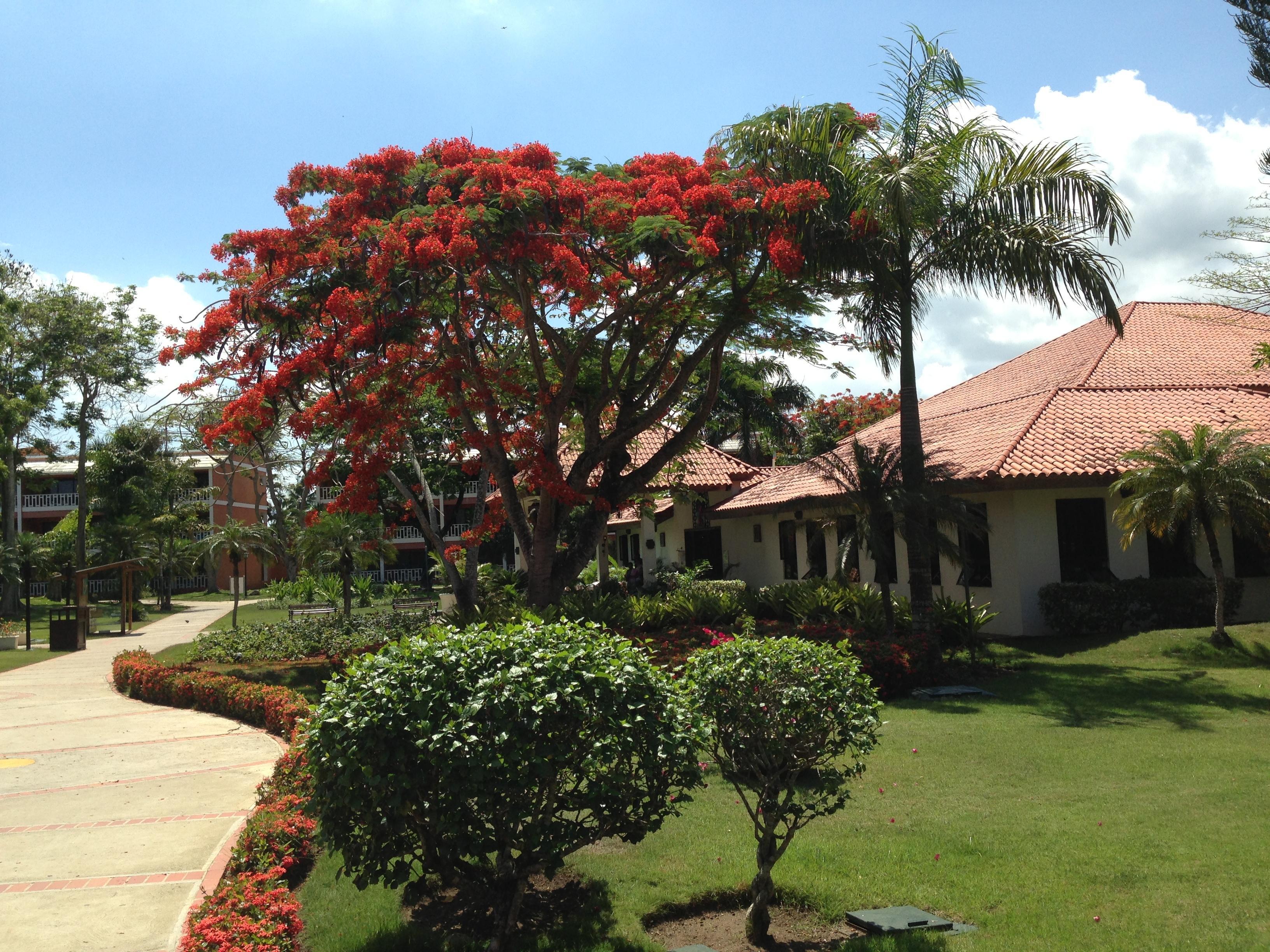 Bellevue Dominican Bay Бока-Чика Экстерьер фото